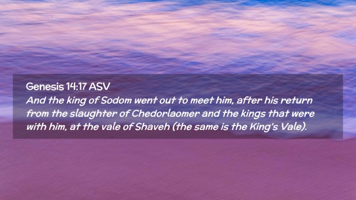 Picture 02 - Genesis 14:17 ASV Desktop Wallpaper - And the king of Sodom went out to meet him, after - Desktop Bible Verse Wallpaper