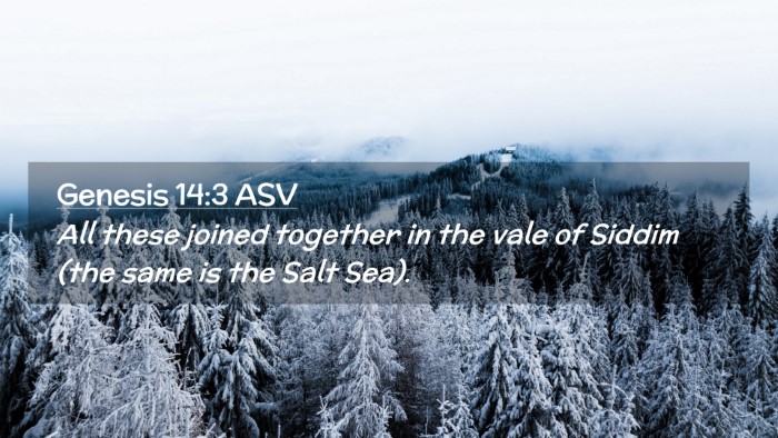 Picture 02 - Genesis 14:3 ASV Desktop Wallpaper - All these joined together in the vale of Siddim - Desktop Bible Verse Wallpaper
