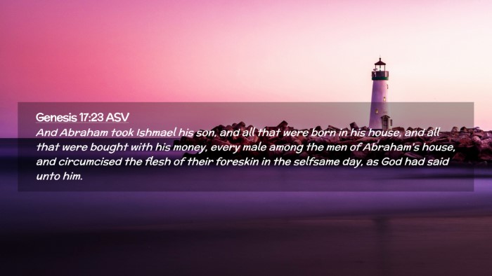 Picture 02 - Genesis 17:23 ASV Desktop Wallpaper - And Abraham took Ishmael his son, and all that - Desktop Bible Verse Wallpaper