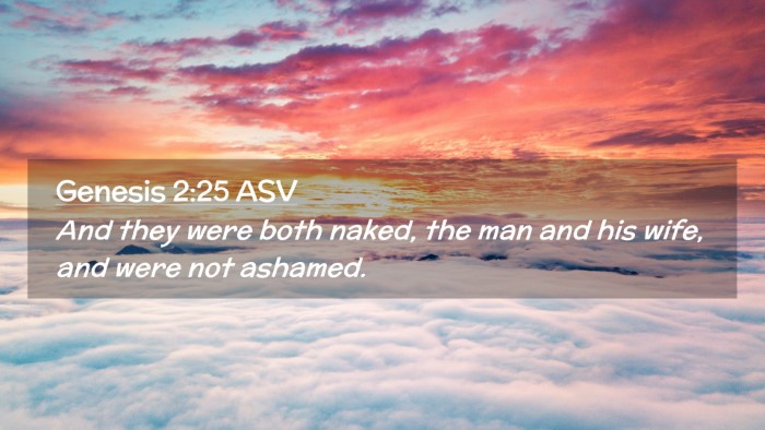 Picture 02 - Genesis 2:25 ASV Desktop Wallpaper - And they were both naked, the man and his wife, - Desktop Bible Verse Wallpaper