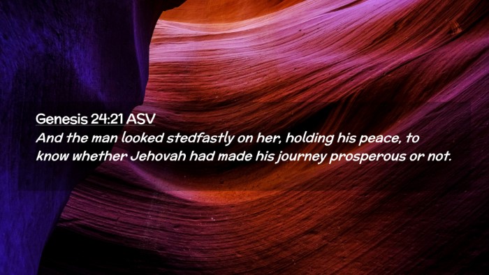Picture 02 - Genesis 24:21 ASV Desktop Wallpaper - And the man looked stedfastly on her, holding his - Desktop Bible Verse Wallpaper