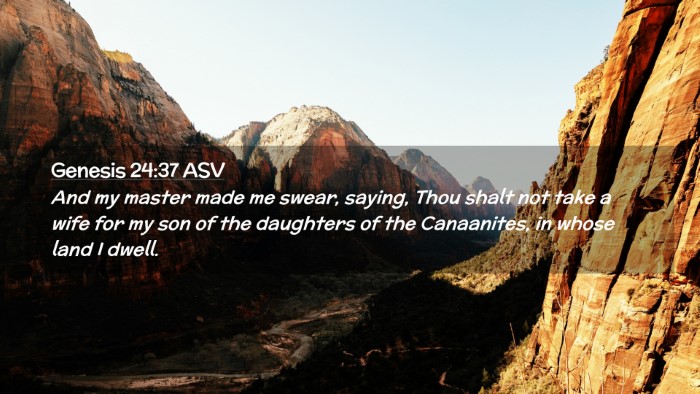 Picture 02 - Genesis 24:37 ASV Desktop Wallpaper - And my master made me swear, saying, Thou shalt - Desktop Bible Verse Wallpaper