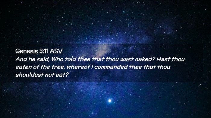 Picture 02 - Genesis 3:11 ASV Desktop Wallpaper - And he said, Who told thee that thou wast naked? - Desktop Bible Verse Wallpaper