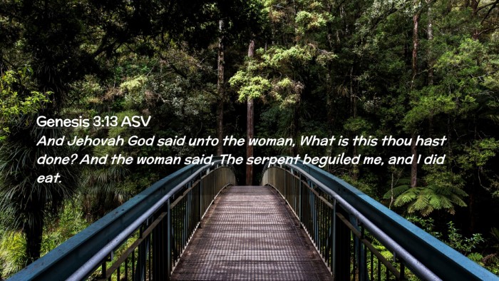 Picture 02 - Genesis 3:13 ASV Desktop Wallpaper - And Jehovah God said unto the woman, What is this - Desktop Bible Verse Wallpaper