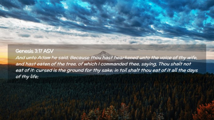 Picture 02 - Genesis 3:17 ASV Desktop Wallpaper - And unto Adam he said, Because thou hast - Desktop Bible Verse Wallpaper