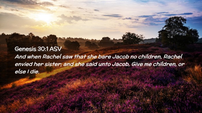 Picture 02 - Genesis 30:1 ASV Desktop Wallpaper - And when Rachel saw that she bare Jacob no - Desktop Bible Verse Wallpaper