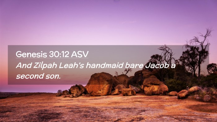 Picture 02 - Genesis 30:12 ASV Desktop Wallpaper - And Zilpah Leah's handmaid bare Jacob a second - Desktop Bible Verse Wallpaper