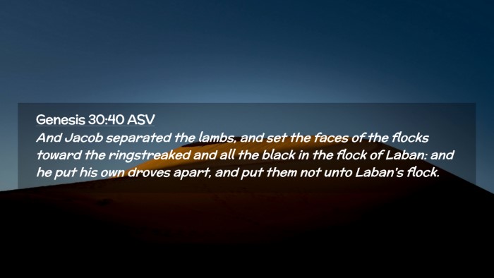 Picture 02 - Genesis 30:40 ASV Desktop Wallpaper - And Jacob separated the lambs, and set the faces - Desktop Bible Verse Wallpaper