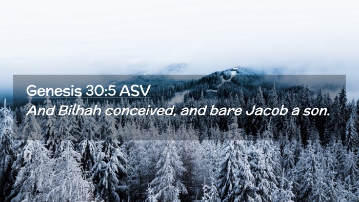 Picture 02 - Genesis 30:5 ASV Desktop Wallpaper - And Bilhah conceived, and bare Jacob a - Desktop Bible Verse Wallpaper