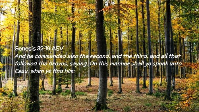 Picture 02 - Genesis 32:19 ASV Desktop Wallpaper - And he commanded also the second, and the third, - Desktop Bible Verse Wallpaper