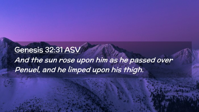 Picture 02 - Genesis 32:31 ASV Desktop Wallpaper - And the sun rose upon him as he passed over - Desktop Bible Verse Wallpaper
