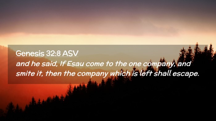 Picture 02 - Genesis 32:8 ASV Desktop Wallpaper - and he said, If Esau come to the one company, and - Desktop Bible Verse Wallpaper