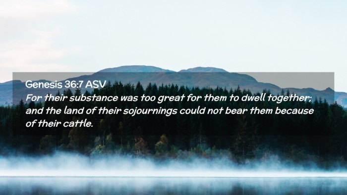 Picture 02 - Genesis 36:7 ASV Desktop Wallpaper - For their substance was too great for them to - Desktop Bible Verse Wallpaper