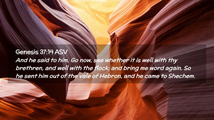 Picture 02 - Genesis 37:14 ASV Desktop Wallpaper - And he said to him, Go now, see whether it is - Desktop Bible Verse Wallpaper
