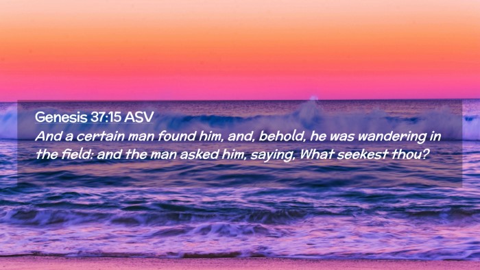 Picture 02 - Genesis 37:15 ASV Desktop Wallpaper - And a certain man found him, and, behold, he was - Desktop Bible Verse Wallpaper