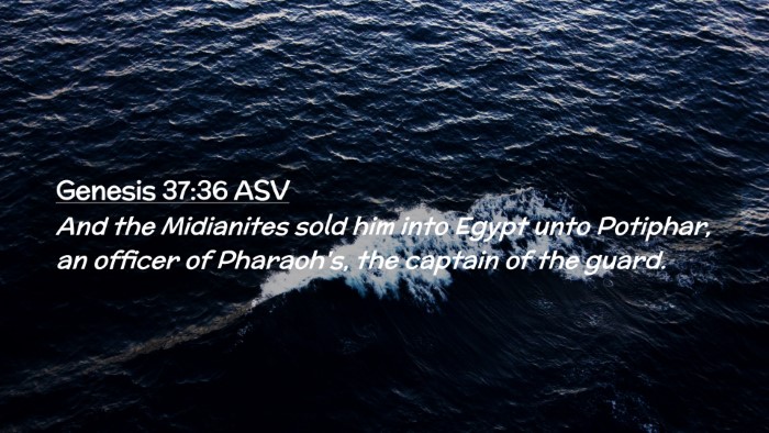 Picture 02 - Genesis 37:36 ASV Desktop Wallpaper - And the Midianites sold him into Egypt unto - Desktop Bible Verse Wallpaper