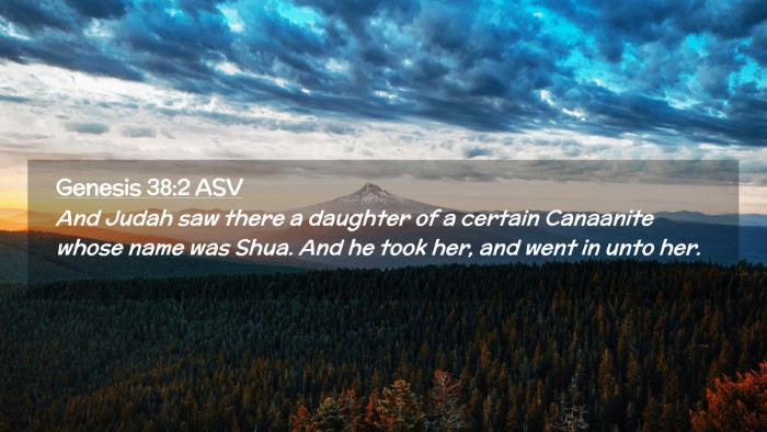 Picture 02 - Genesis 38:2 ASV Desktop Wallpaper - And Judah saw there a daughter of a certain - Desktop Bible Verse Wallpaper