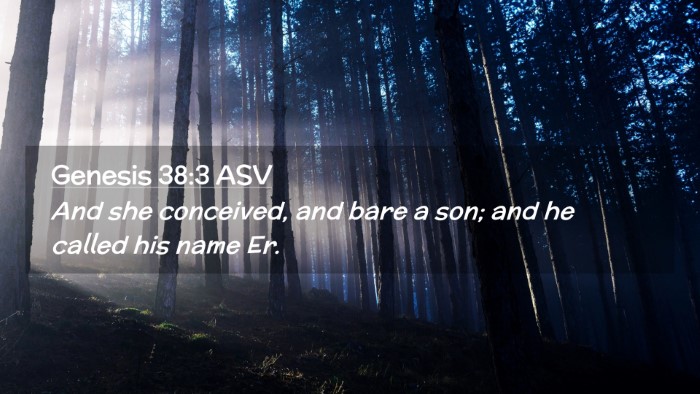 Picture 02 - Genesis 38:3 ASV Desktop Wallpaper - And she conceived, and bare a son; and he called - Desktop Bible Verse Wallpaper