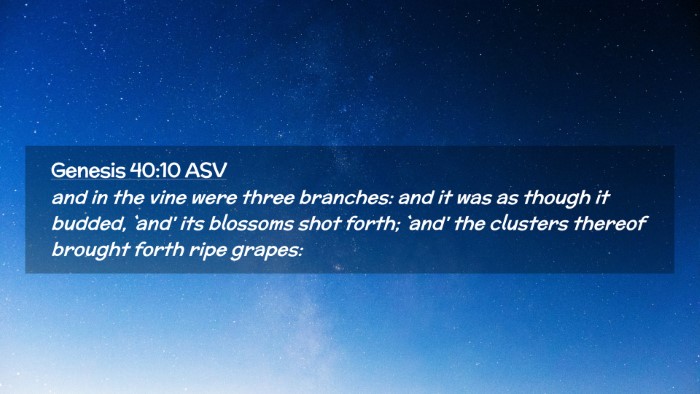 Picture 02 - Genesis 40:10 ASV Desktop Wallpaper - and in the vine were three branches: and it was - Desktop Bible Verse Wallpaper
