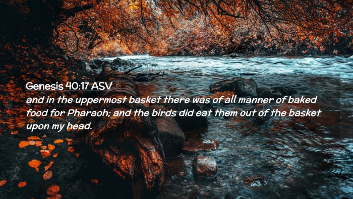 Picture 02 - Genesis 40:17 ASV Desktop Wallpaper - and in the uppermost basket there was of all - Desktop Bible Verse Wallpaper