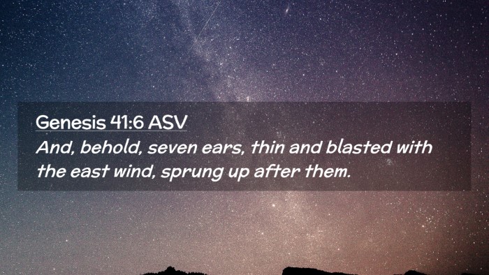 Picture 02 - Genesis 41:6 ASV Desktop Wallpaper - And, behold, seven ears, thin and blasted with - Desktop Bible Verse Wallpaper