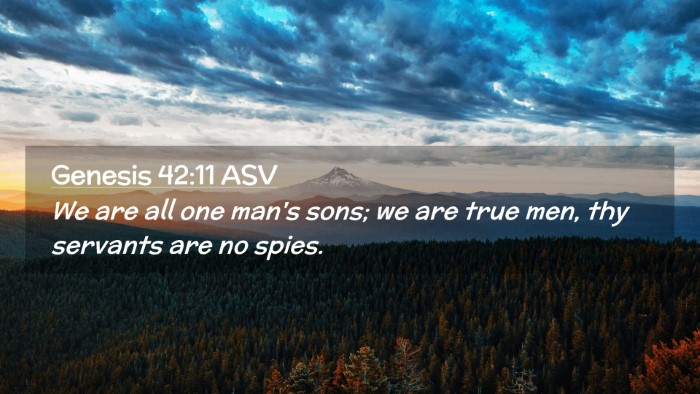 Picture 02 - Genesis 42:11 ASV Desktop Wallpaper - We are all one man's sons; we are true men, thy - Desktop Bible Verse Wallpaper