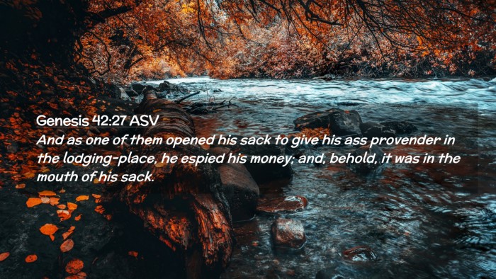 Picture 02 - Genesis 42:27 ASV Desktop Wallpaper - And as one of them opened his sack to give his - Desktop Bible Verse Wallpaper