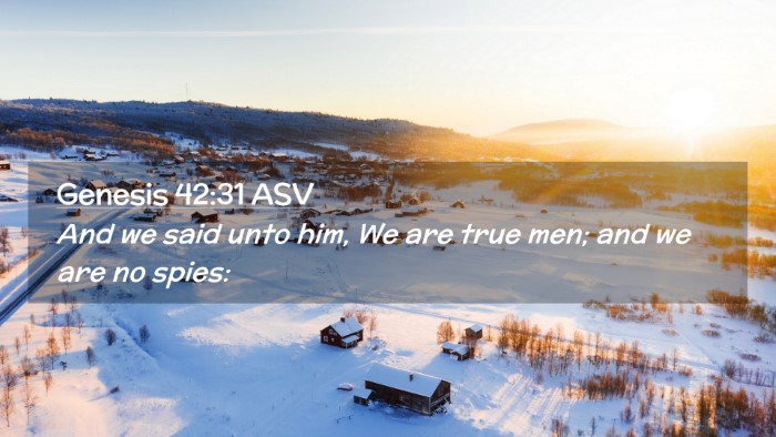 Picture 02 - Genesis 42:31 ASV Desktop Wallpaper - And we said unto him, We are true men; and we are - Desktop Bible Verse Wallpaper