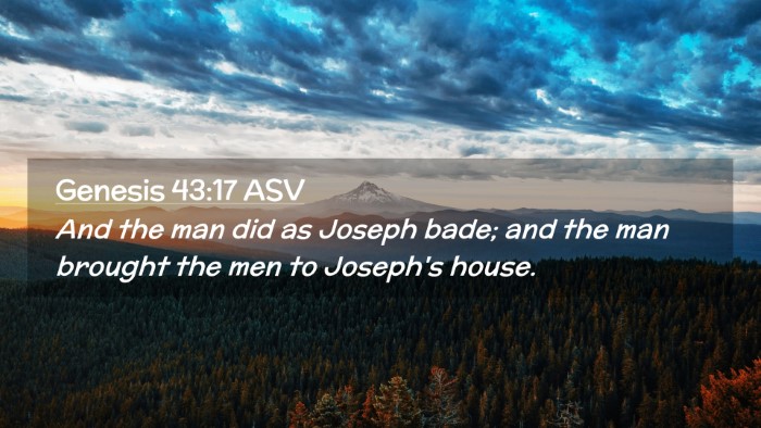 Picture 02 - Genesis 43:17 ASV Desktop Wallpaper - And the man did as Joseph bade; and the man - Desktop Bible Verse Wallpaper