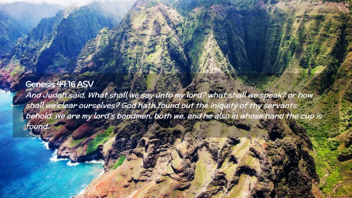 Picture 02 - Genesis 44:16 ASV Desktop Wallpaper - And Judah said, What shall we say unto my lord? - Desktop Bible Verse Wallpaper