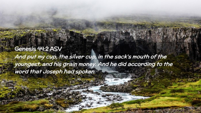 Picture 02 - Genesis 44:2 ASV Desktop Wallpaper - And put my cup, the silver cup, in the sack's - Desktop Bible Verse Wallpaper