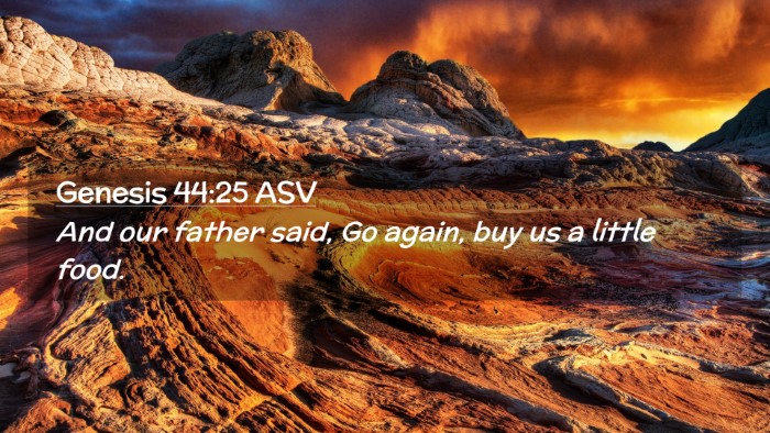 Picture 02 - Genesis 44:25 ASV Desktop Wallpaper - And our father said, Go again, buy us a little - Desktop Bible Verse Wallpaper