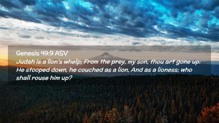 Picture 02 - Genesis 49:9 ASV Desktop Wallpaper - Judah is a lion's whelp; From the prey, my son, - Desktop Bible Verse Wallpaper