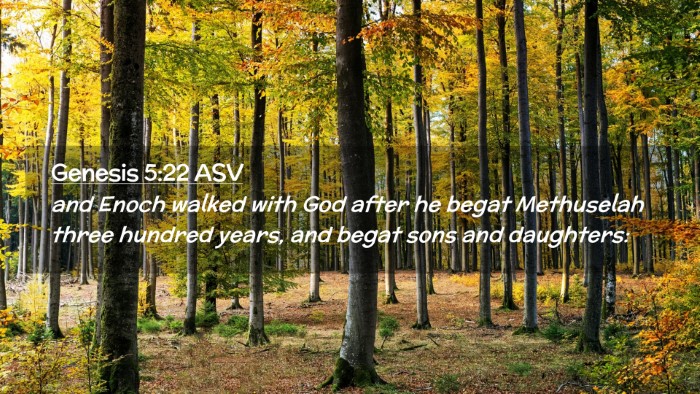Picture 02 - Genesis 5:22 ASV Desktop Wallpaper - and Enoch walked with God after he begat - Desktop Bible Verse Wallpaper