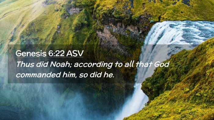 Picture 02 - Genesis 6:22 ASV Desktop Wallpaper - Thus did Noah; according to all that God - Desktop Bible Verse Wallpaper