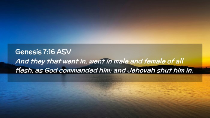 Picture 02 - Genesis 7:16 ASV Desktop Wallpaper - And they that went in, went in male and female of - Desktop Bible Verse Wallpaper