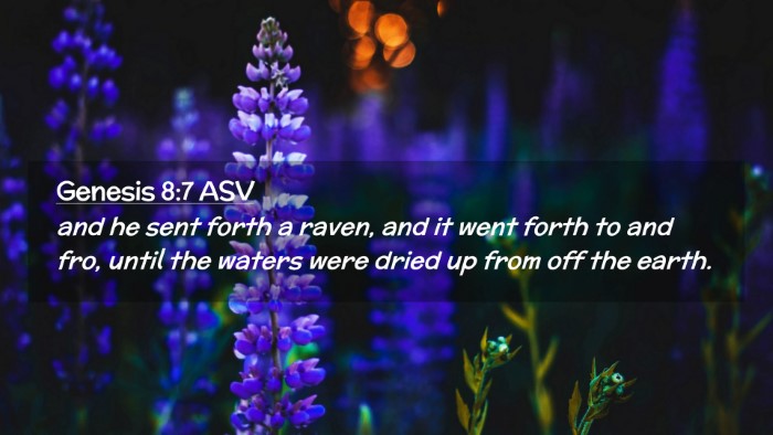 Picture 02 - Genesis 8:7 ASV Desktop Wallpaper - and he sent forth a raven, and it went forth to - Desktop Bible Verse Wallpaper