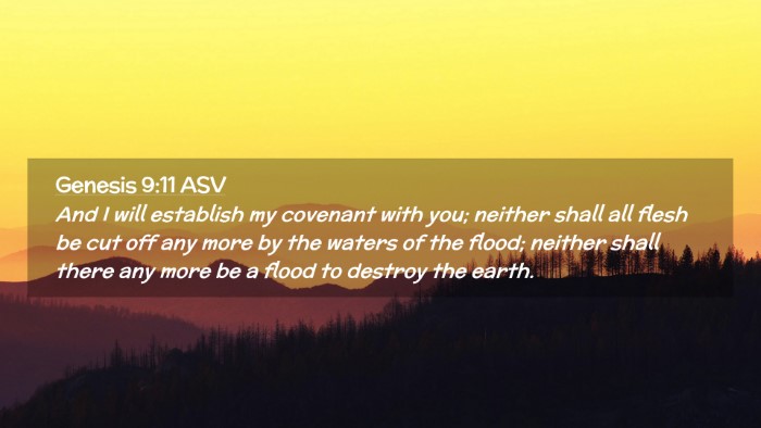 Picture 02 - Genesis 9:11 ASV Desktop Wallpaper - And I will establish my covenant with you; - Desktop Bible Verse Wallpaper