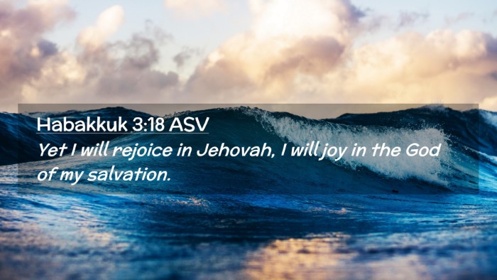 Picture 02 - Habakkuk 3:18 ASV Desktop Wallpaper - Yet I will rejoice in Jehovah, I will joy in the - Desktop Bible Verse Wallpaper