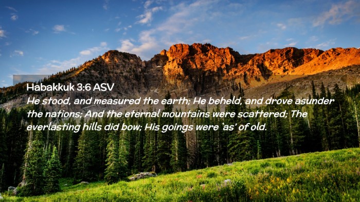 Picture 02 - Habakkuk 3:6 ASV Desktop Wallpaper - He stood, and measured the earth; He beheld, and - Desktop Bible Verse Wallpaper