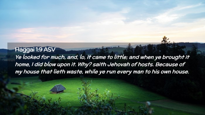 Picture 02 - Haggai 1:9 ASV Desktop Wallpaper - Ye looked for much, and, lo, it came to little; - Desktop Bible Verse Wallpaper