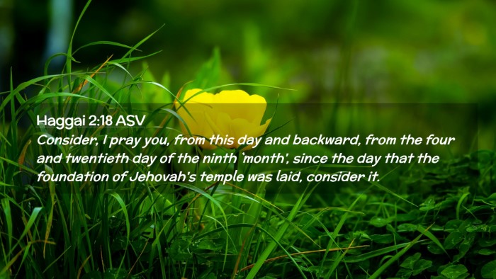 Picture 02 - Haggai 2:18 ASV Desktop Wallpaper - Consider, I pray you, from this day and backward, - Desktop Bible Verse Wallpaper