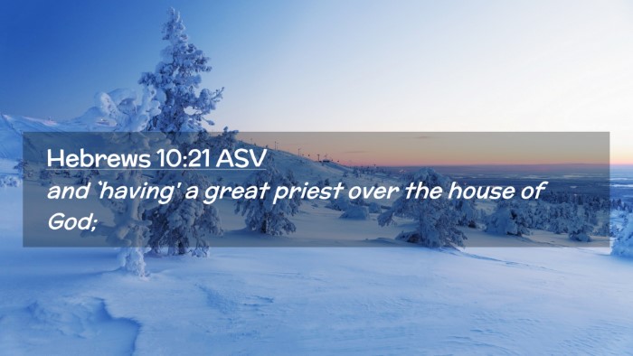 Picture 02 - Hebrews 10:21 ASV Desktop Wallpaper - and `having' a great priest over the house of - Desktop Bible Verse Wallpaper