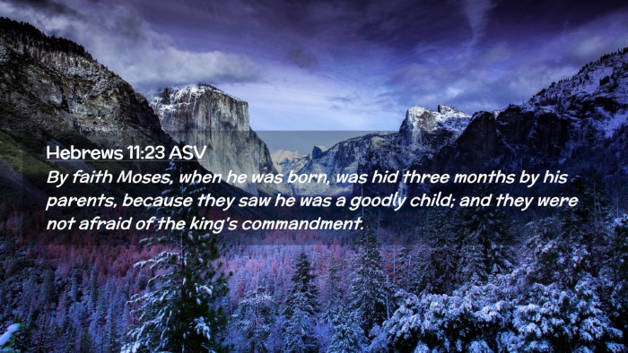 Picture 02 - Hebrews 11:23 ASV Desktop Wallpaper - By faith Moses, when he was born, was hid three - Desktop Bible Verse Wallpaper