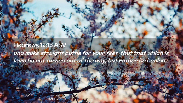 Picture 02 - Hebrews 12:13 ASV Desktop Wallpaper - and make straight paths for your feet, that that - Desktop Bible Verse Wallpaper