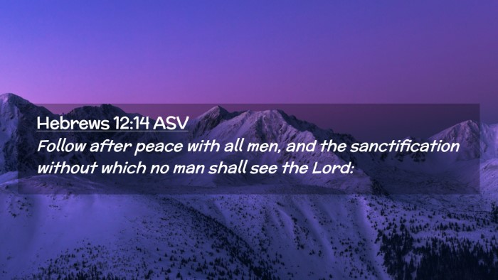 Picture 02 - Hebrews 12:14 ASV Desktop Wallpaper - Follow after peace with all men, and the - Desktop Bible Verse Wallpaper
