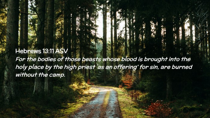 Picture 02 - Hebrews 13:11 ASV Desktop Wallpaper - For the bodies of those beasts whose blood is - Desktop Bible Verse Wallpaper