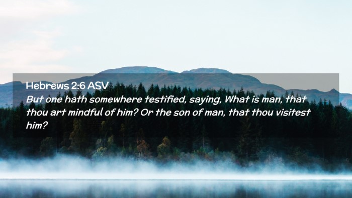 Picture 02 - Hebrews 2:6 ASV Desktop Wallpaper - But one hath somewhere testified, saying, What is - Desktop Bible Verse Wallpaper