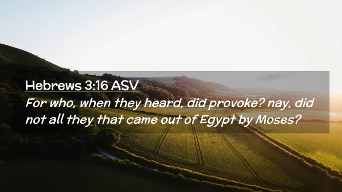 Picture 02 - Hebrews 3:16 ASV Desktop Wallpaper - For who, when they heard, did provoke? nay, did - Desktop Bible Verse Wallpaper