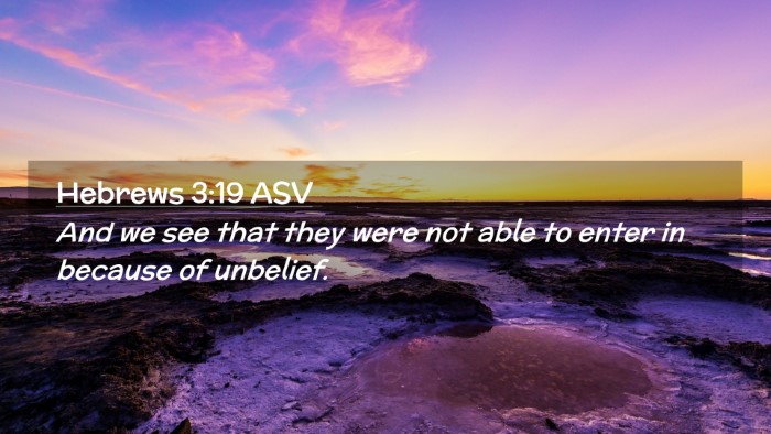 Picture 02 - Hebrews 3:19 ASV Desktop Wallpaper - And we see that they were not able to enter in - Desktop Bible Verse Wallpaper